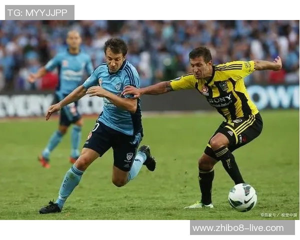 惠灵顿凤凰迎战中部海岸水手期待精彩对决与激烈竞争