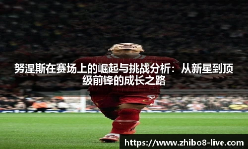 努涅斯在赛场上的崛起与挑战分析：从新星到顶级前锋的成长之路